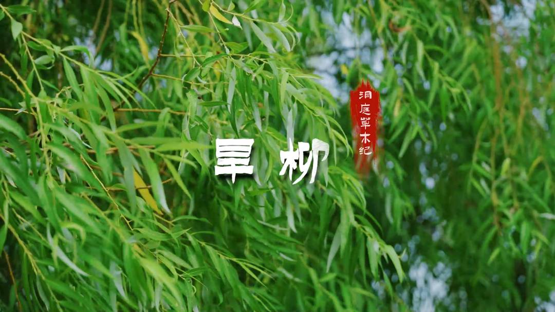 ͥľo•