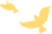 DƬ